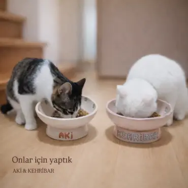 Aki ve Kehribar isimli iki kedinin kişiye özel mama kaplarıyla yemek yerken görüntüsü